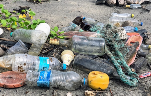 assorted garbage bottles on sandy surface