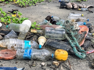 assorted garbage bottles on sandy surface