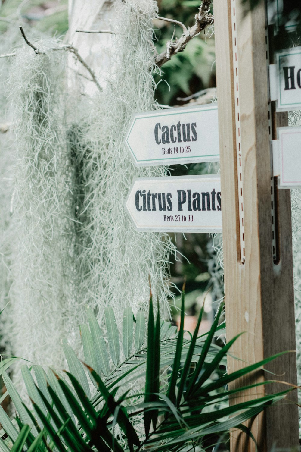 several plants signboard