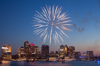 fireworks during night time