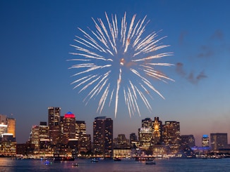 fireworks during night time