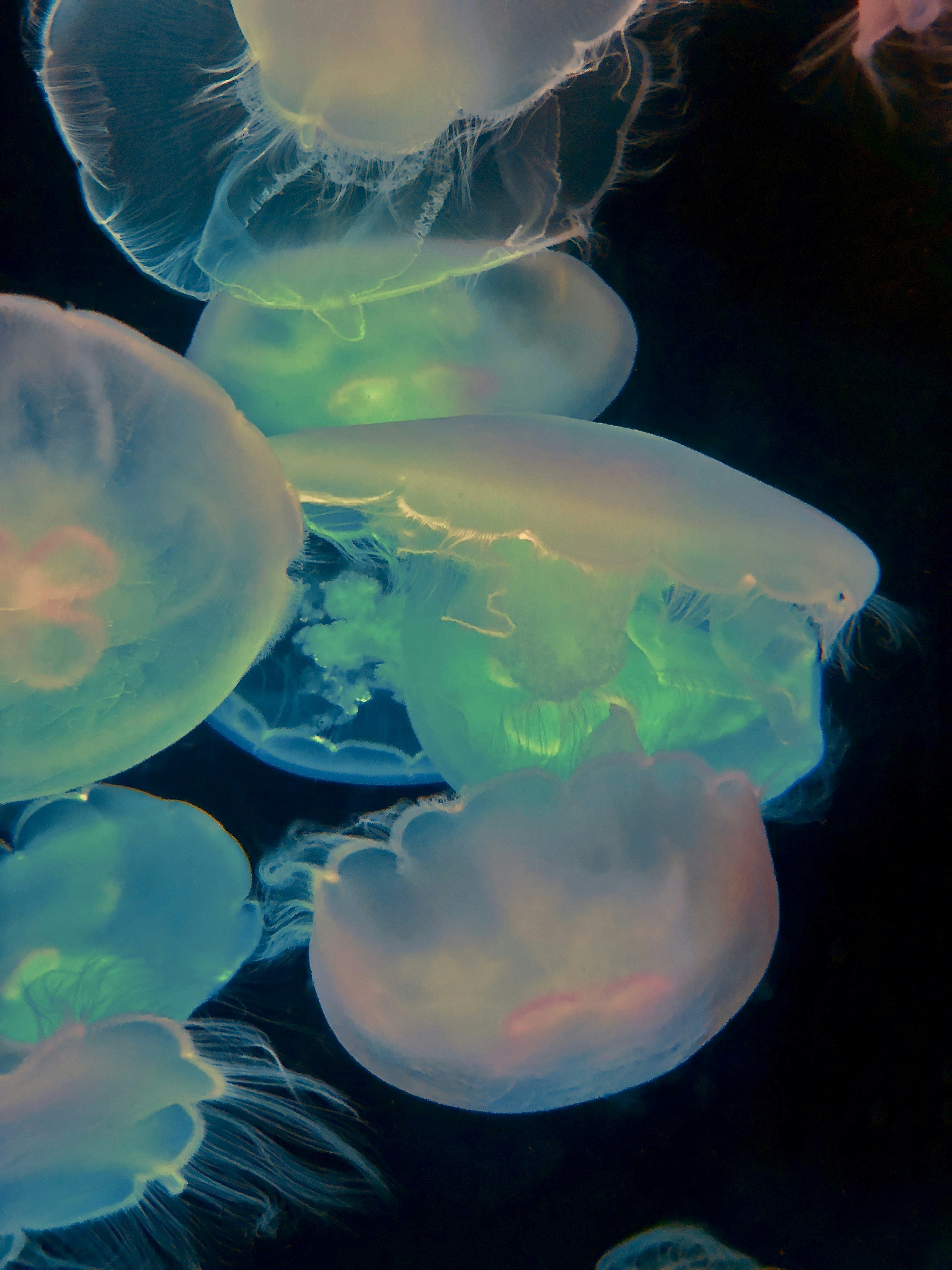 How Causation Connects Events: Regularity Versus Counterfactual Accounts