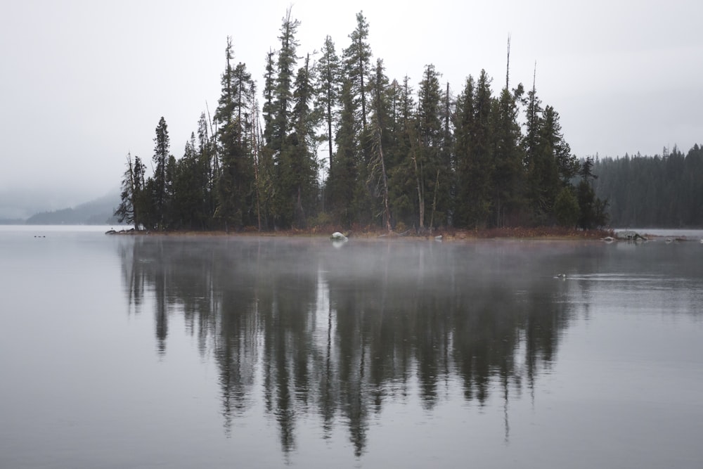 island in bottom of body of water