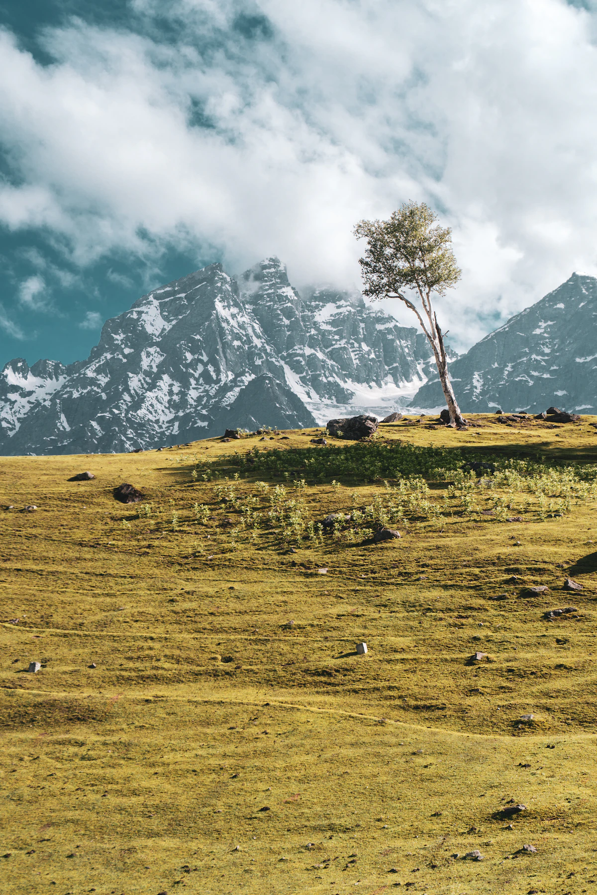 Snow-covered mountains and valleys near Jammu