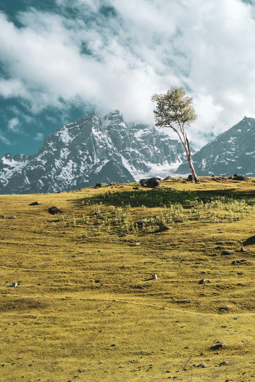 snowy mountains behind valley