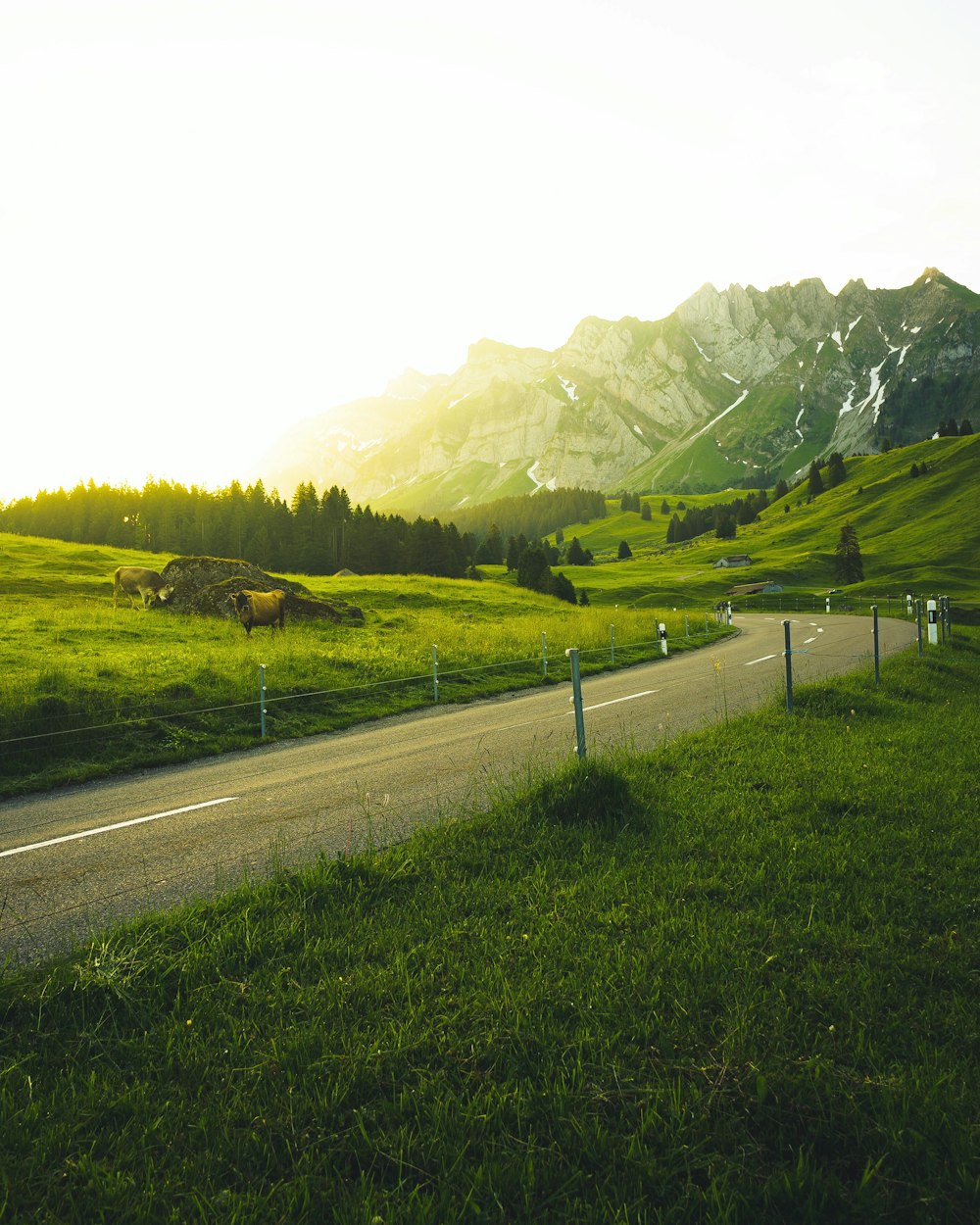 asphalt road between grass field and mountain in the distance during daytime