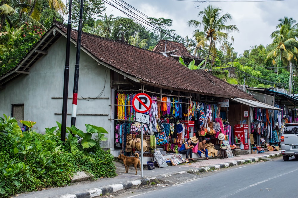 no parking sign beside house