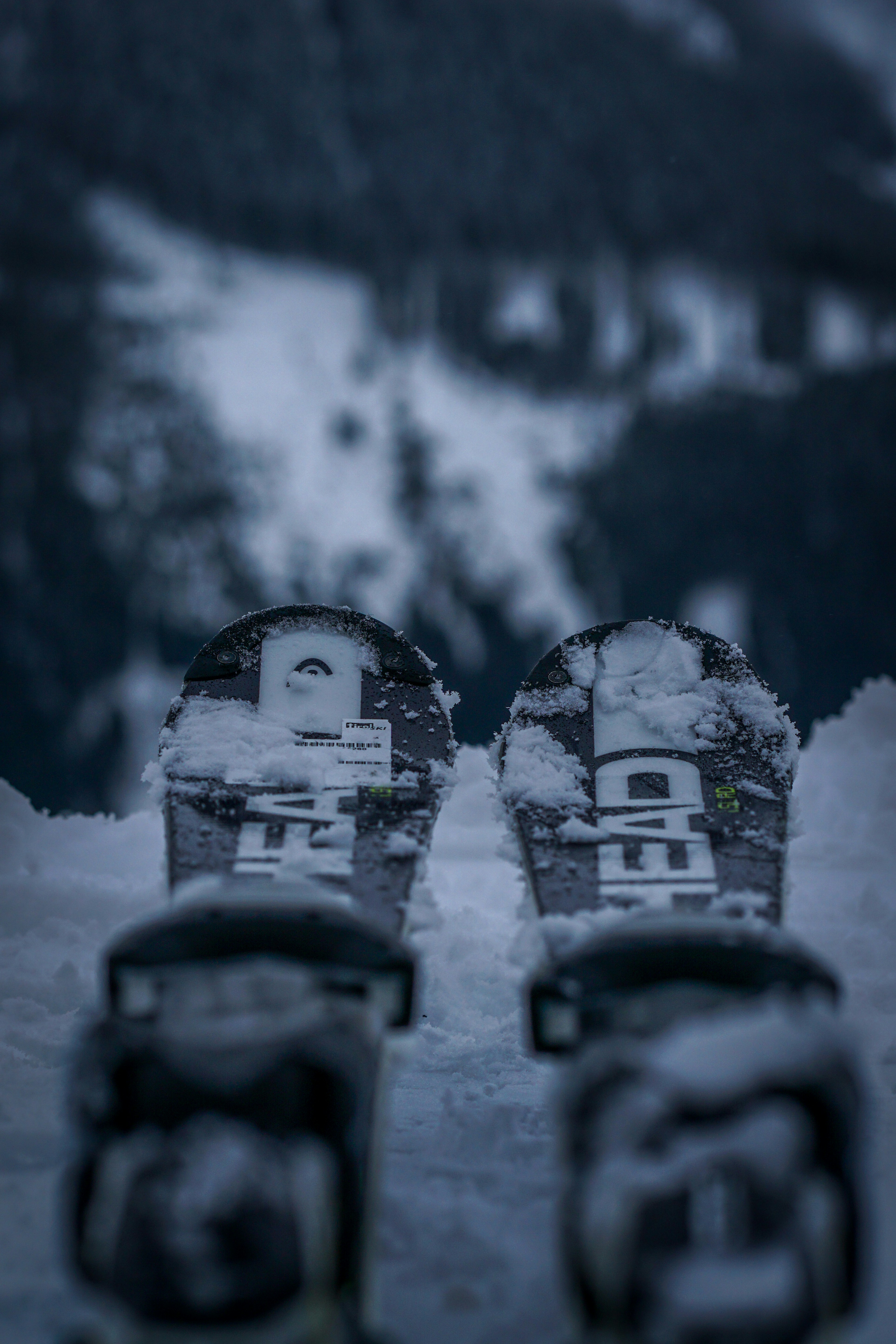 person taking photo of white and black snow skis