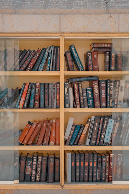 An office bookcase with doors, filled with books and office supplies, blending style and function