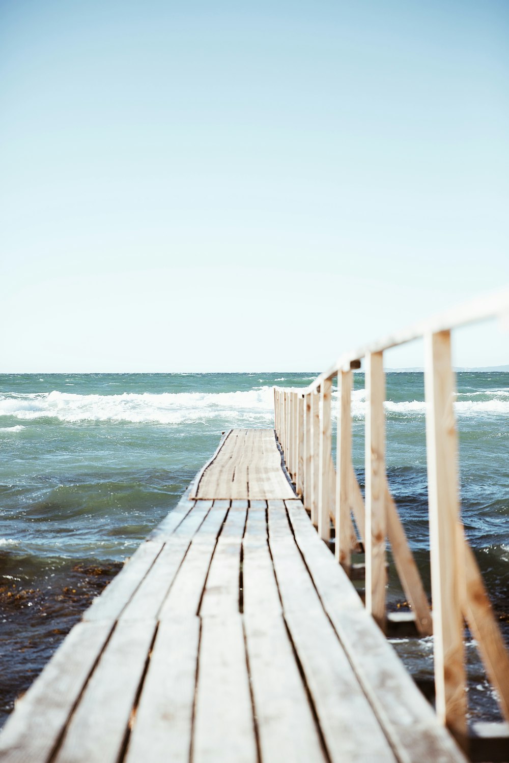 brown wooden path walk