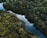 body of water surrounded by trees