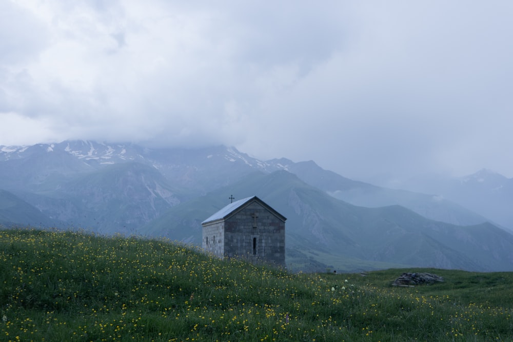 gray house near green grasses