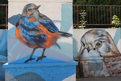 A vibrant street art mural on a brick wall features two large, lifelike bird illustrations. The left side displays a colorful bird with orange and blue plumage, capturing attention with its vivid detail. On the right, a close-up of a bird's face is depicted, showcasing intricate feather details and striking eye expression. The background consists of light blue and white geometric shapes, enhancing the vibrancy of the birds.