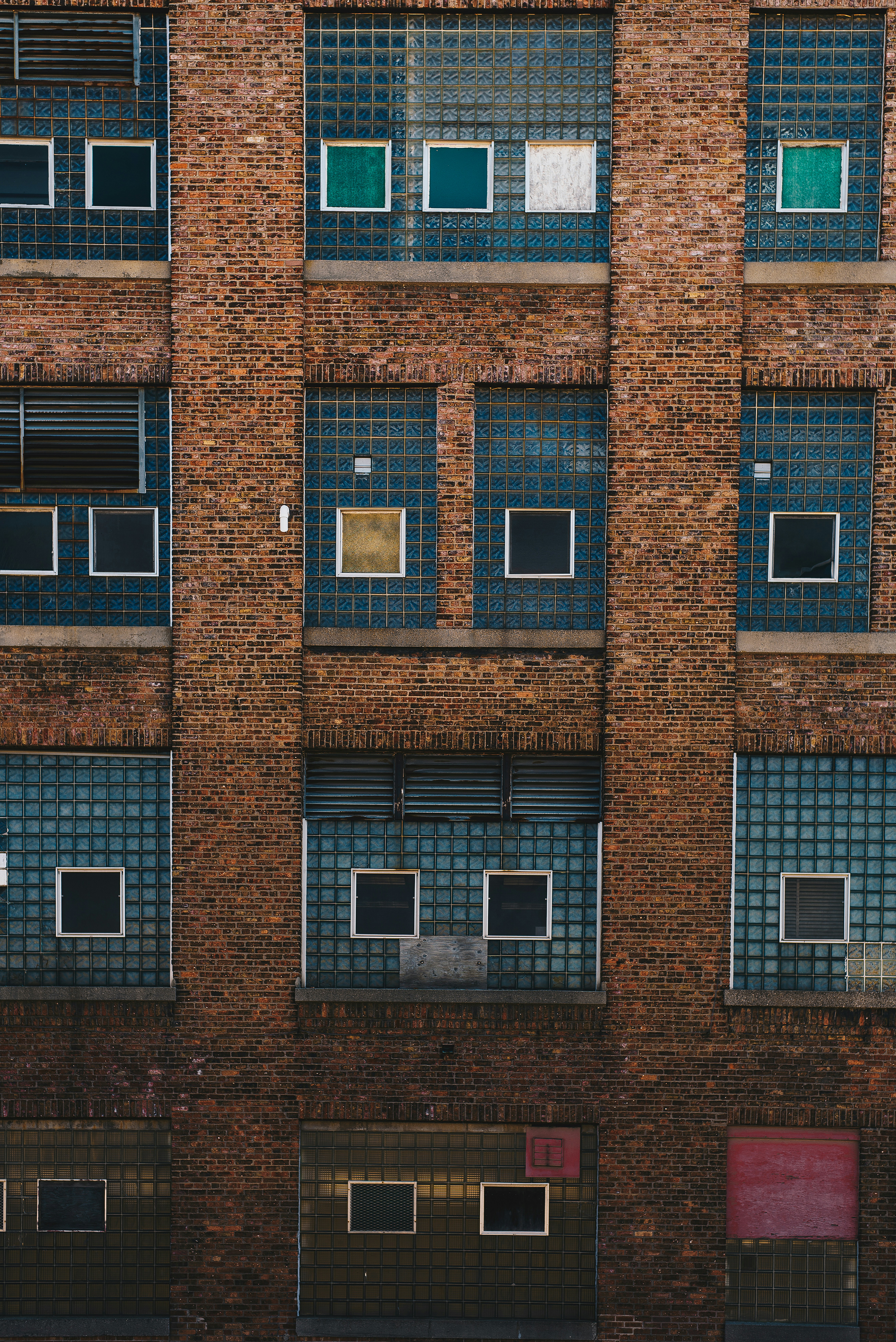 Photo by fernthephotographer