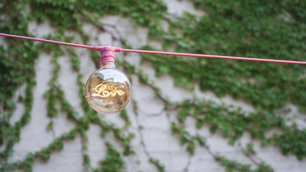 clear light bulb in shallow focus photography