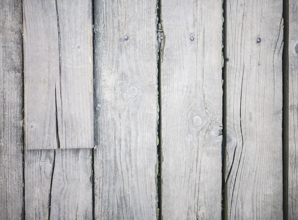 a close up of a wooden fence with nails