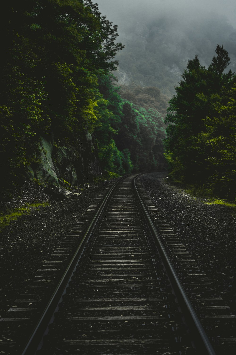 Ferrocarril negro rodeado de árboles