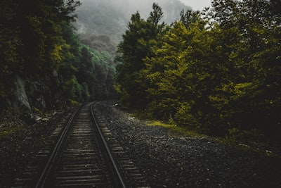 train trailway between trees enchanted zoom background