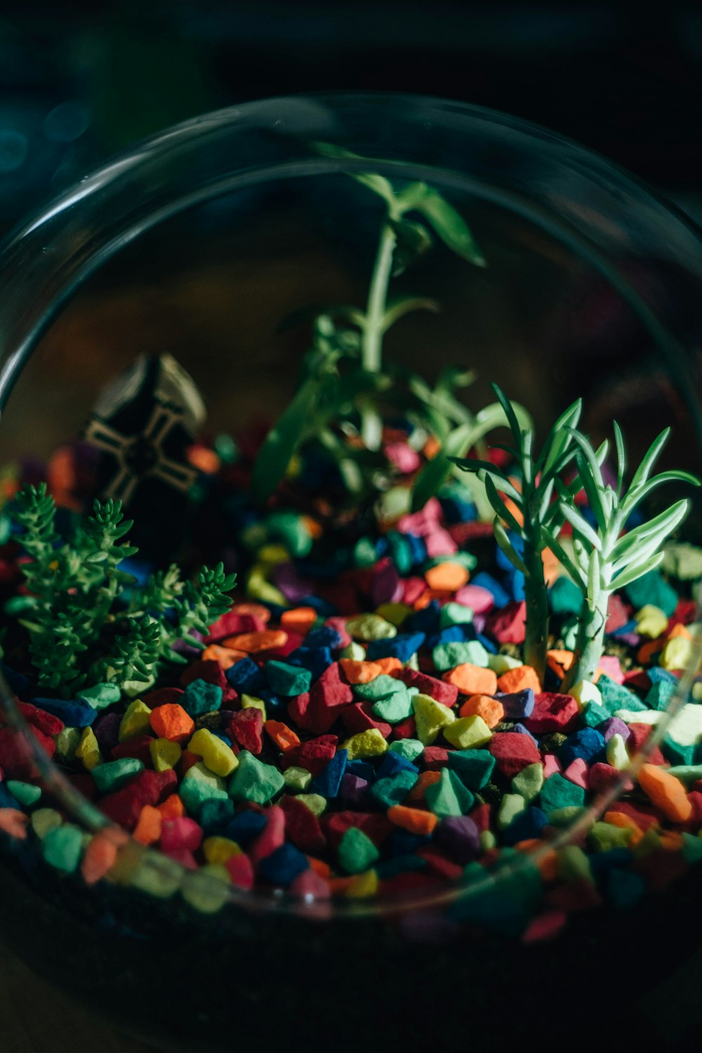 pebbles on bowl terrarium