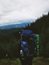 A person with a large blue backpack is standing at the edge of a dense forest, overlooking a vast, mountainous landscape under a cloudy sky. The person is carrying a green rolled-up mat and a water bottle attached to the side of the backpack.