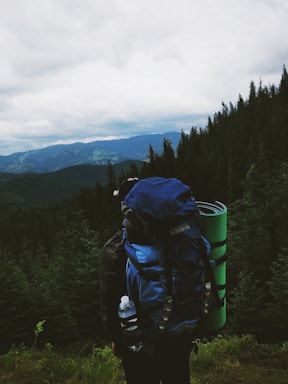 A person with a large blue backpack is standing at the edge of a dense forest, overlooking a vast, mountainous landscape under a cloudy sky. The person is carrying a green rolled-up mat and a water bottle attached to the side of the backpack.