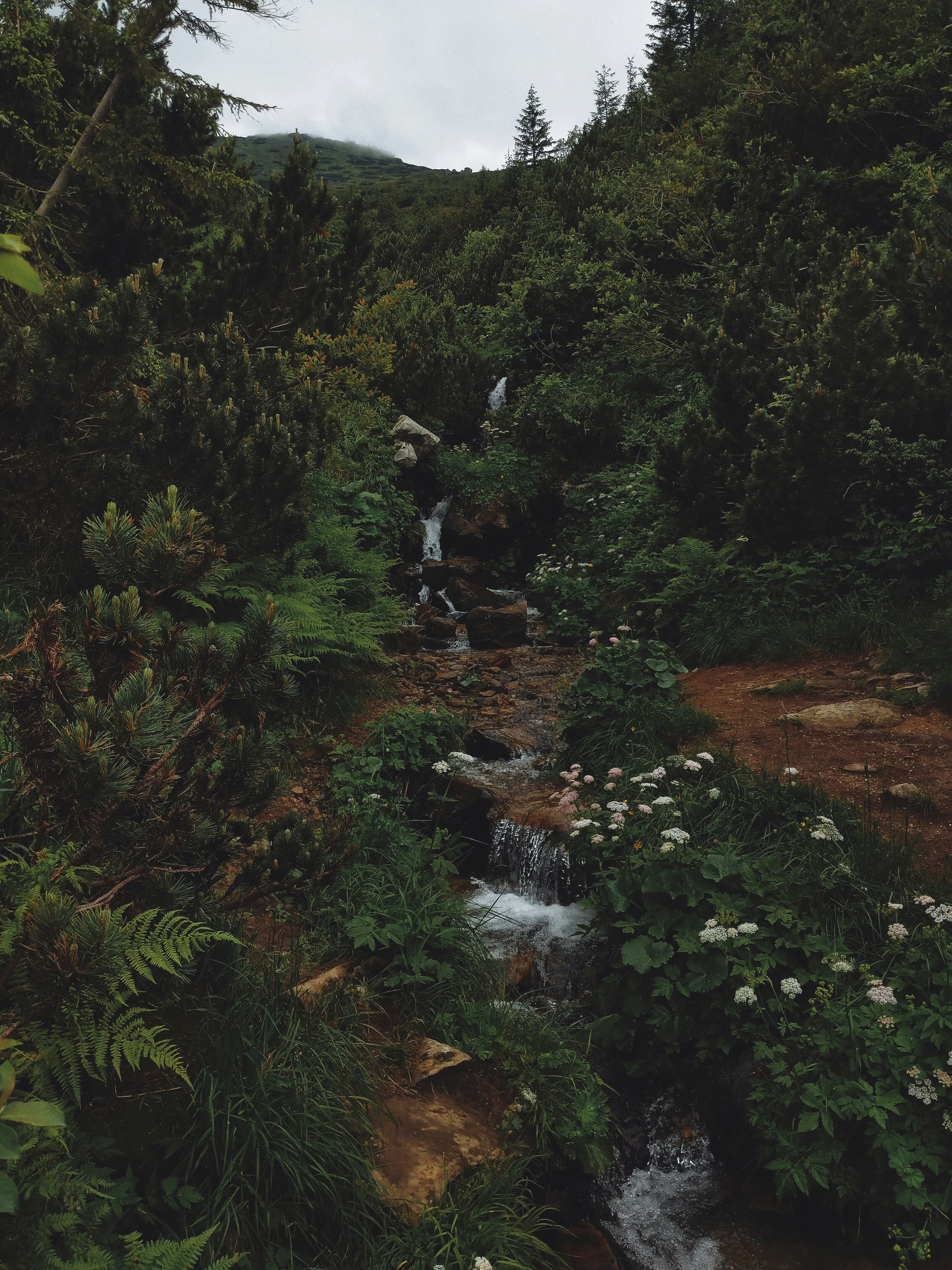 Photo by olenkasergienko