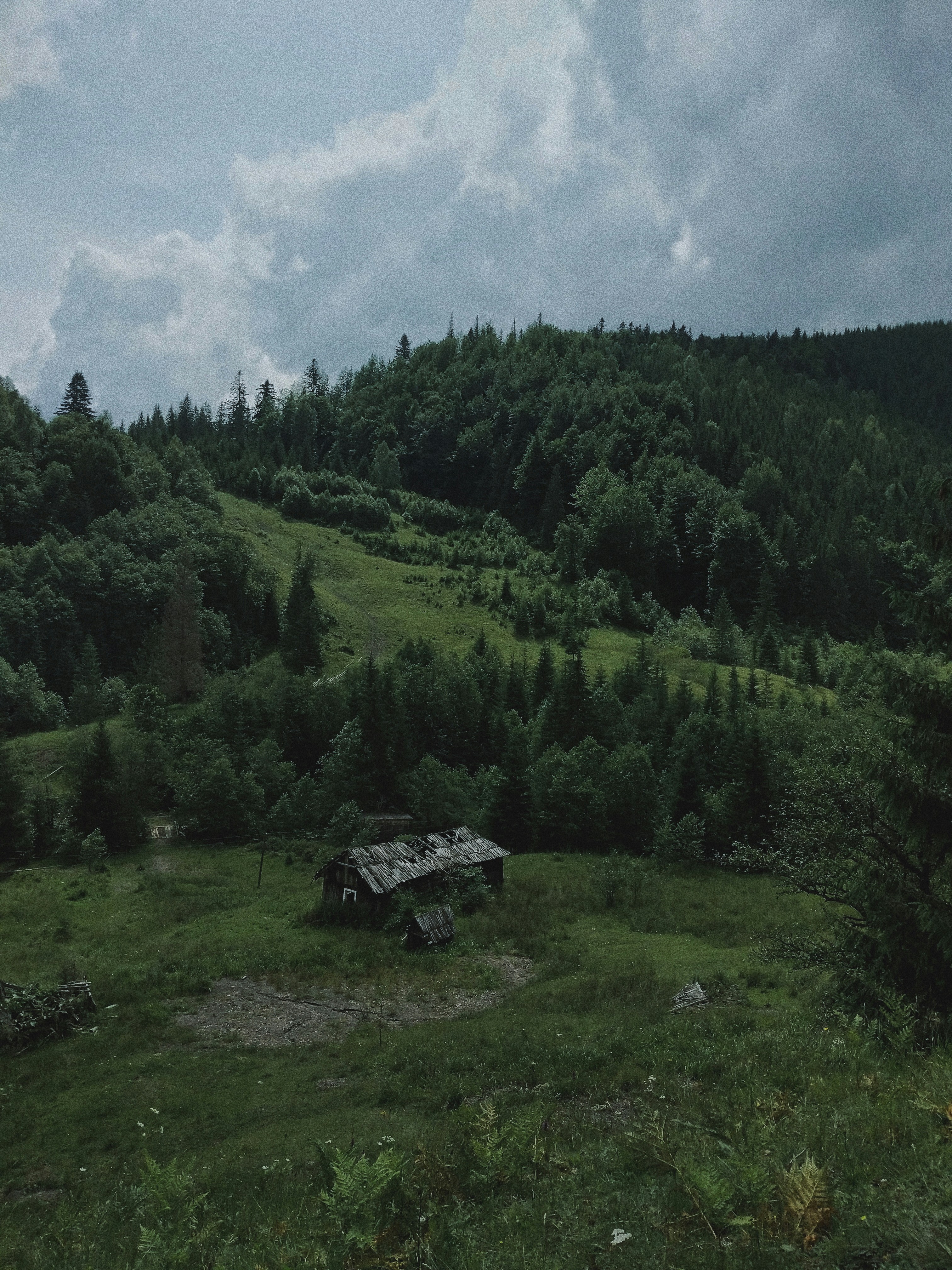 Photo by olenkasergienko