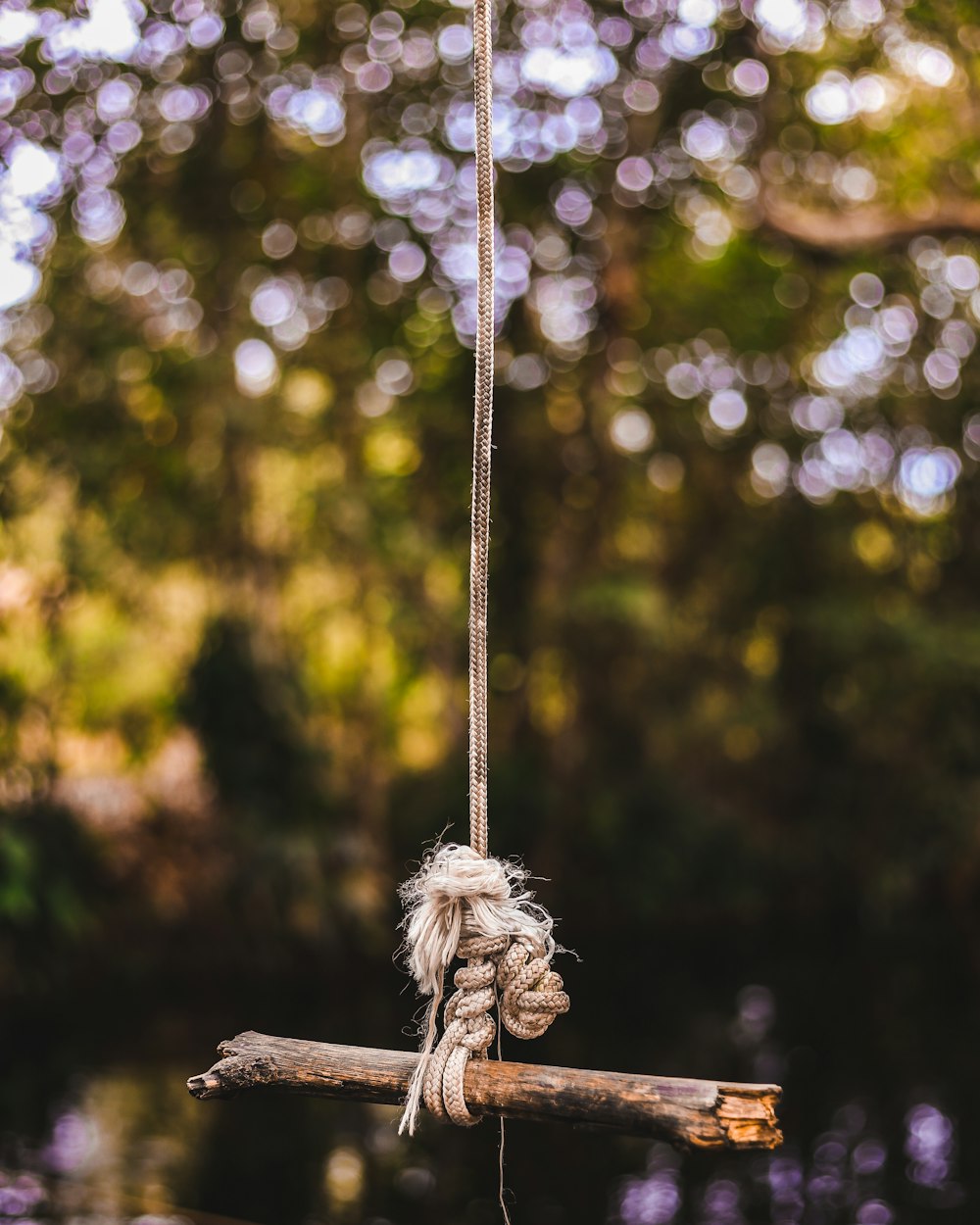 brown stick tied on gray rope