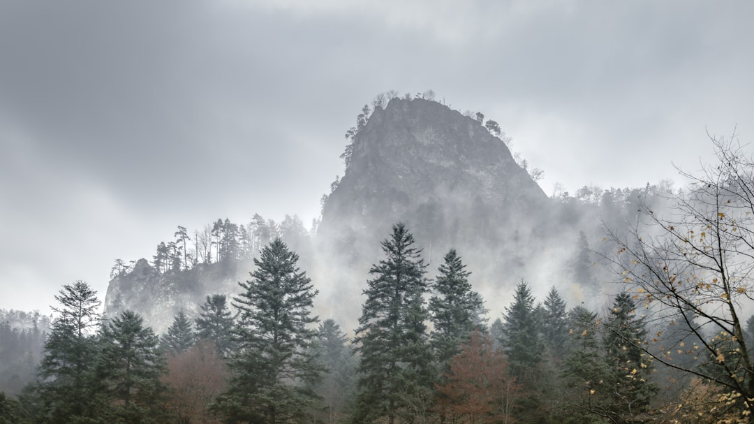 Hill station photo spot Sokolica Trzy Korony