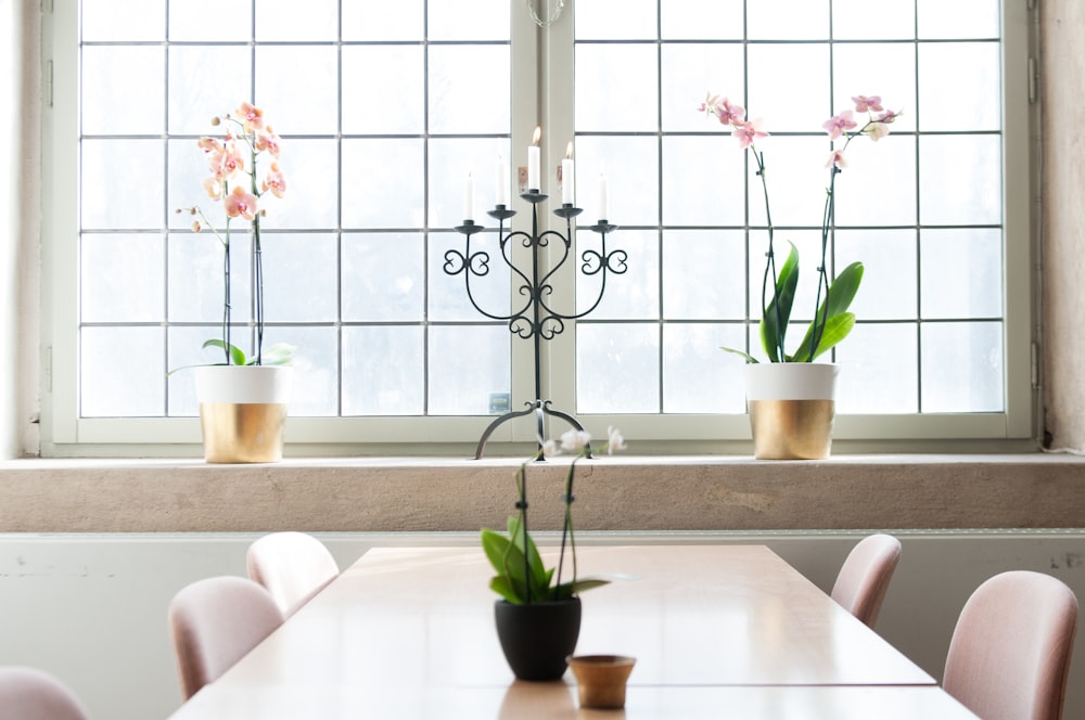 candelabra with candles in front of window