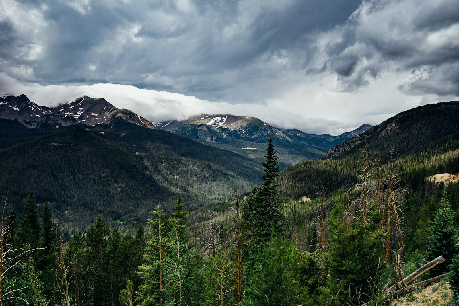 Sigma 19mm F2.8 EX DN sample photo. Mountain and green tress photography