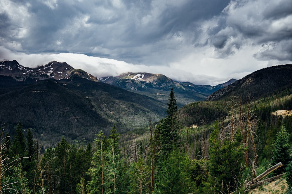 mountain and green tress under cloudy sky