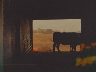 The silhouette of a beagle against a dark forest green barn door accented with subtle gold hardware, capturing the ranch’s old money charm.