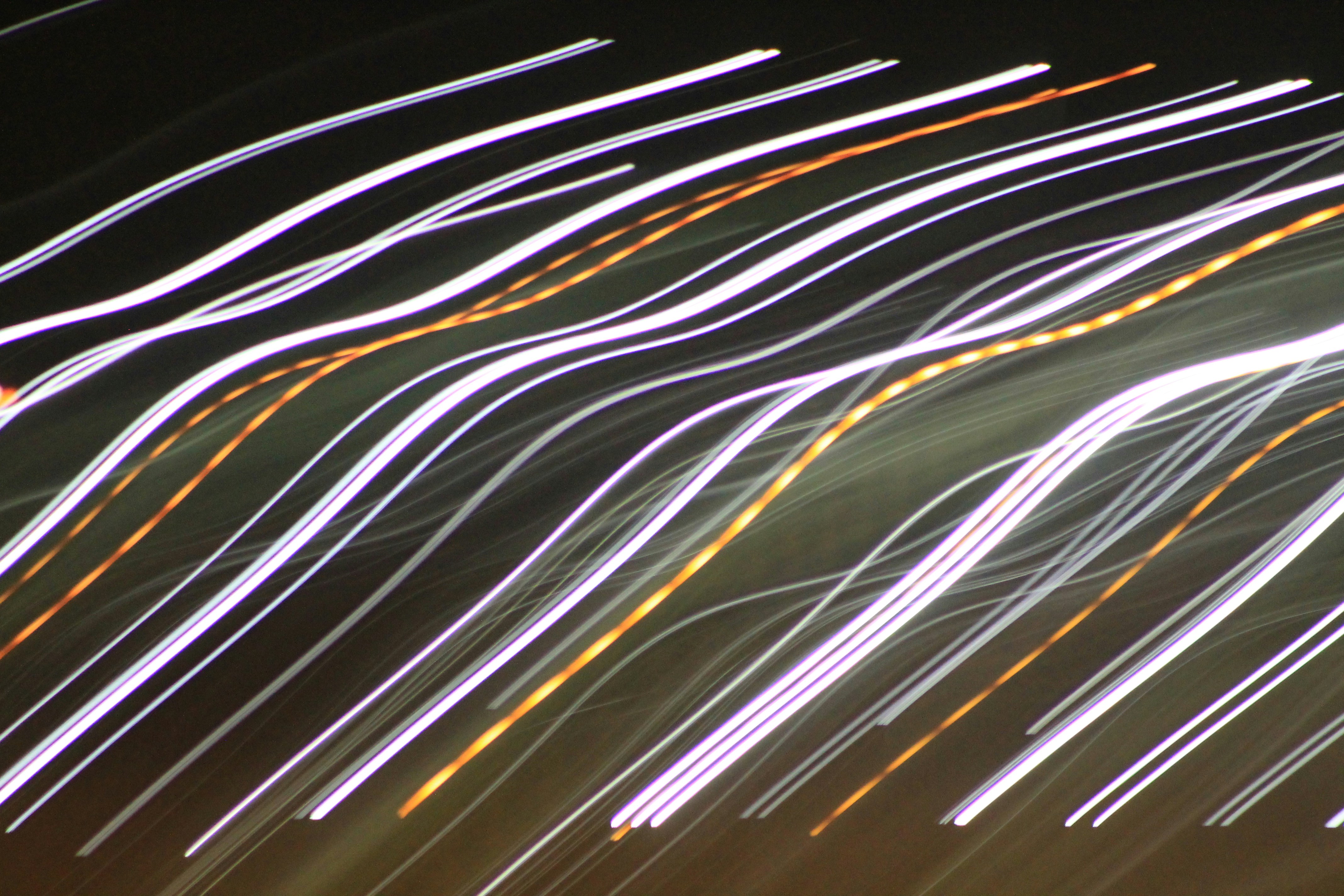 Photo by joyflowerphotography