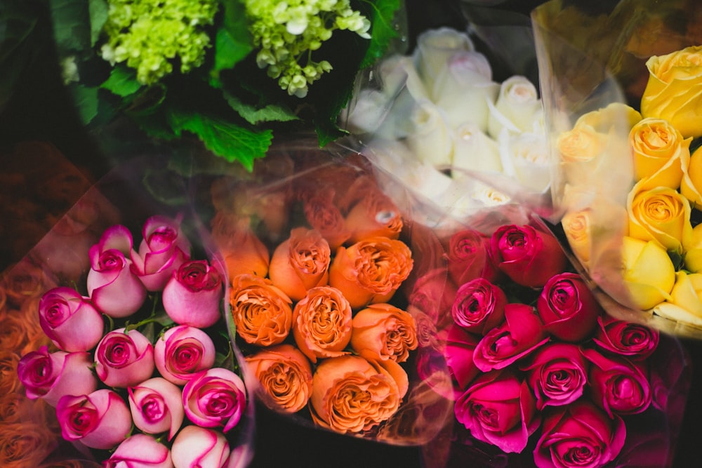 fotografia flat-lay de buquês de rosas