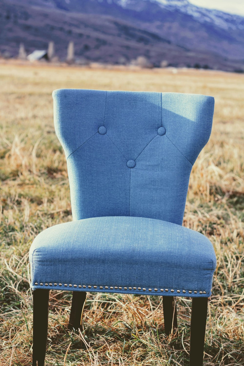 getufteter blauer, gepolsterter, armloser Stuhl tagsüber auf dem Feld