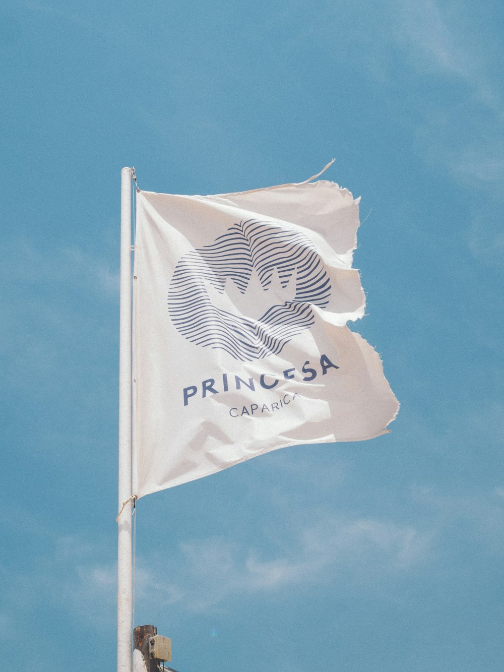 white and blue Princesa Caparica banner
