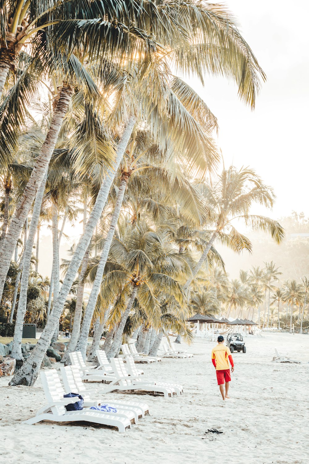 person walking on sea shore with trees