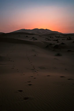 A serene desert landscape at sunset with a winding trail inviting exploration.