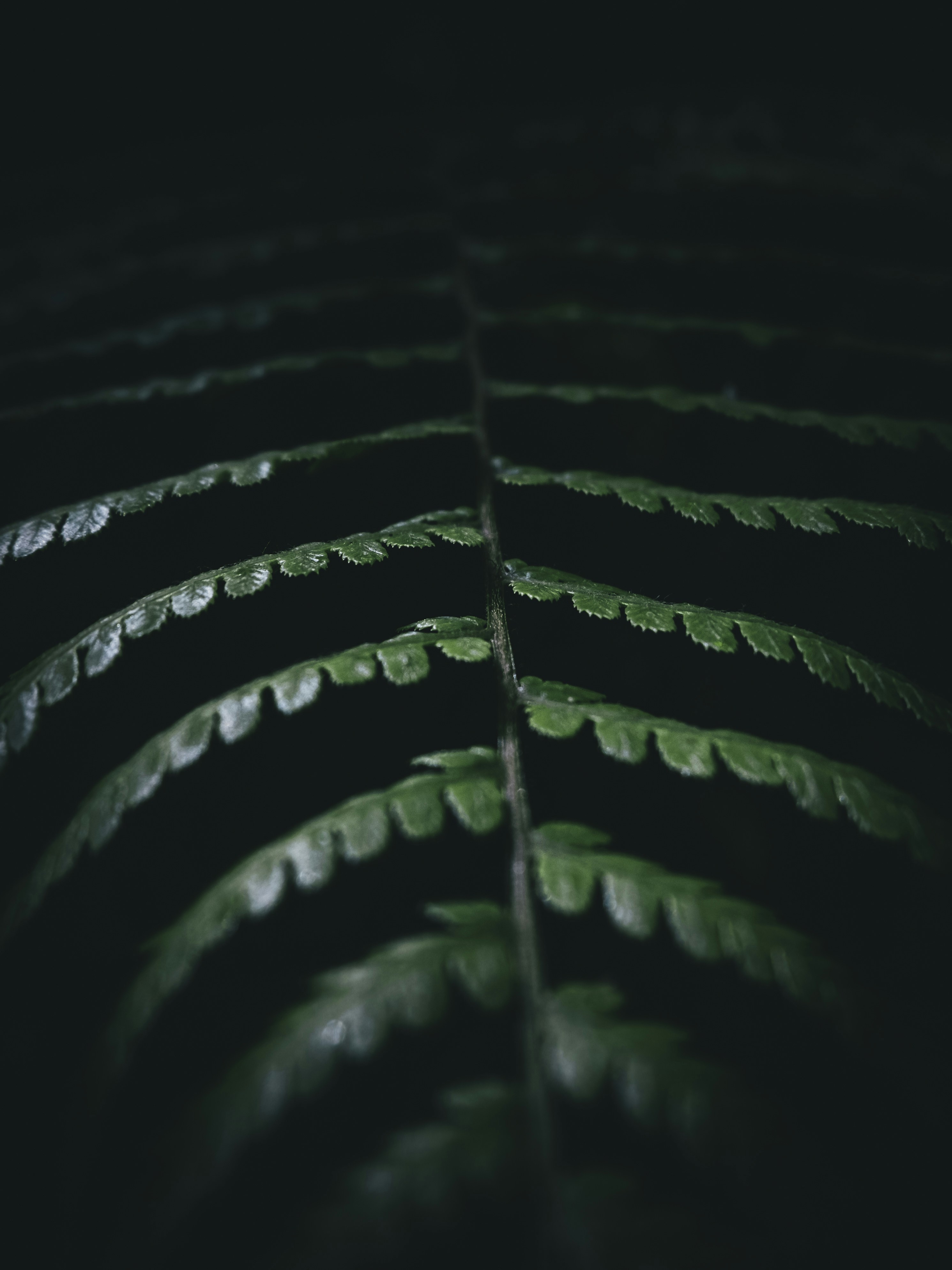 Photo by yoal_desurmont