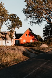 Facade før rensning
