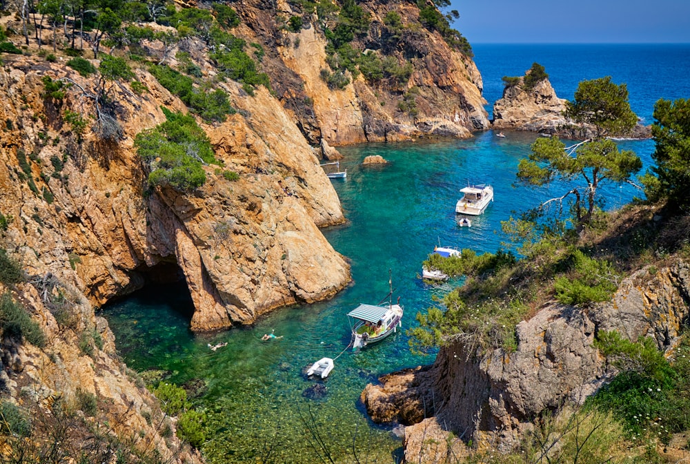 boats on water between mountains and trees