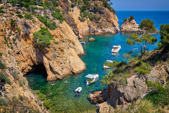 boats on water between mountains and trees in Catalonia Spain