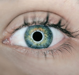 person showing green and black eyelid closeup photography