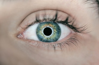 person showing green and black eyelid closeup photography