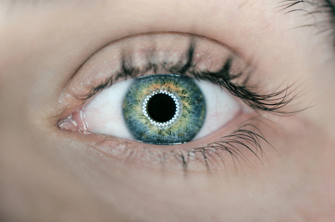 Green and blue iris with ring-light reflection