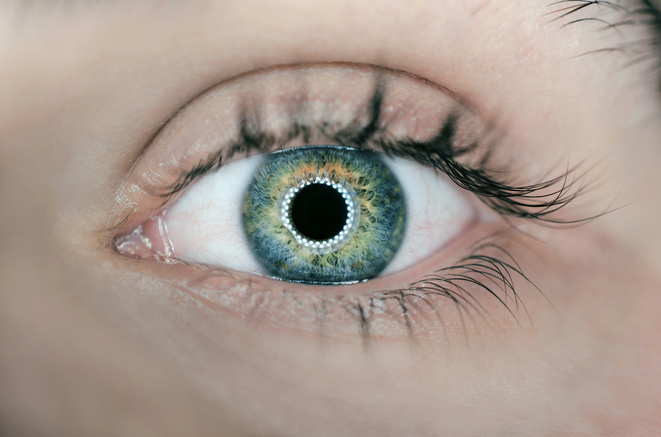 Blue and green iris photographed at close range