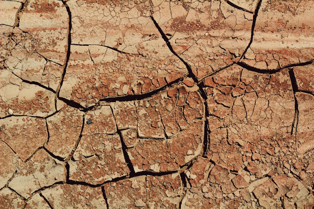 bird's eye view photo of soil