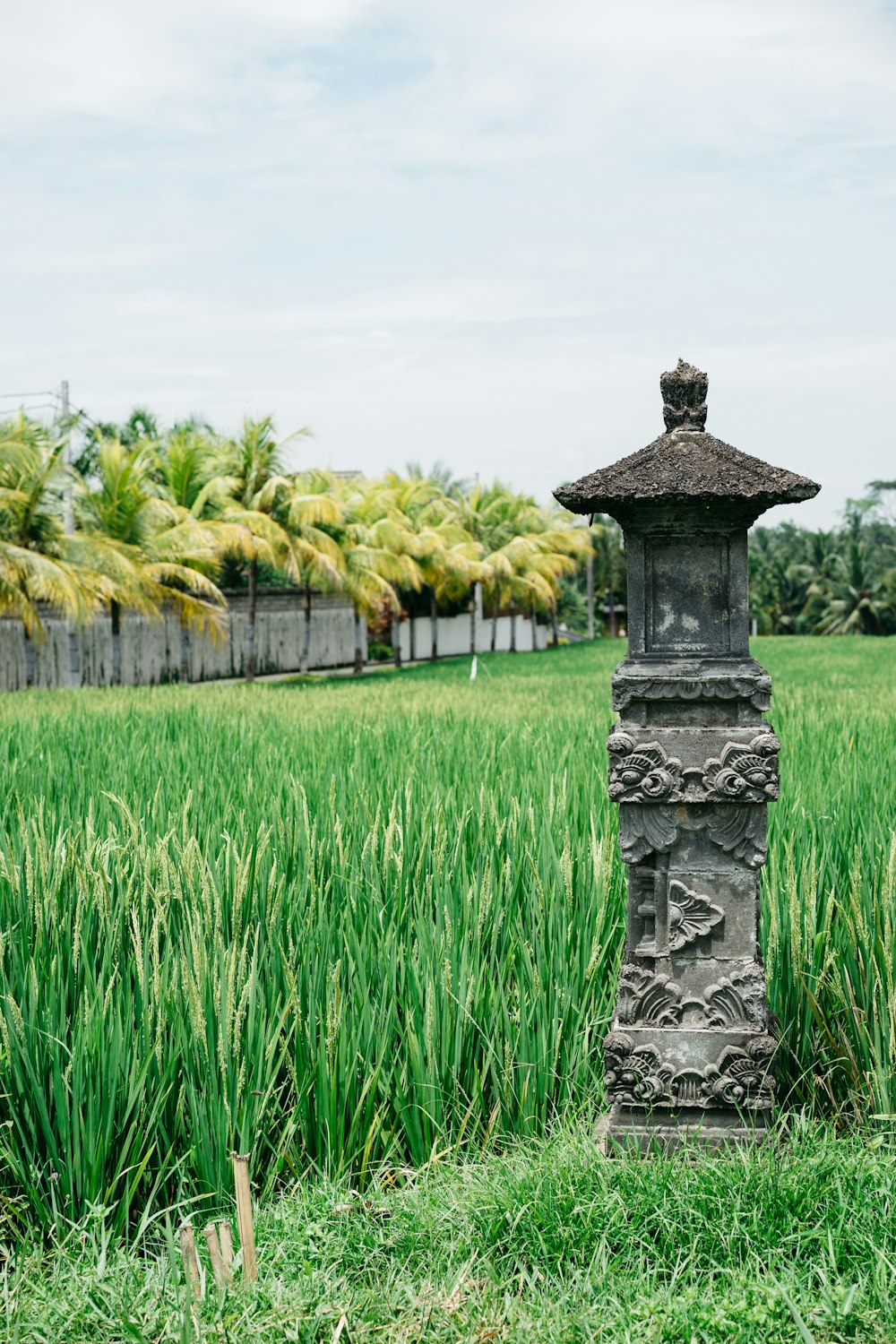 close-up photo of black concrete post near grasses