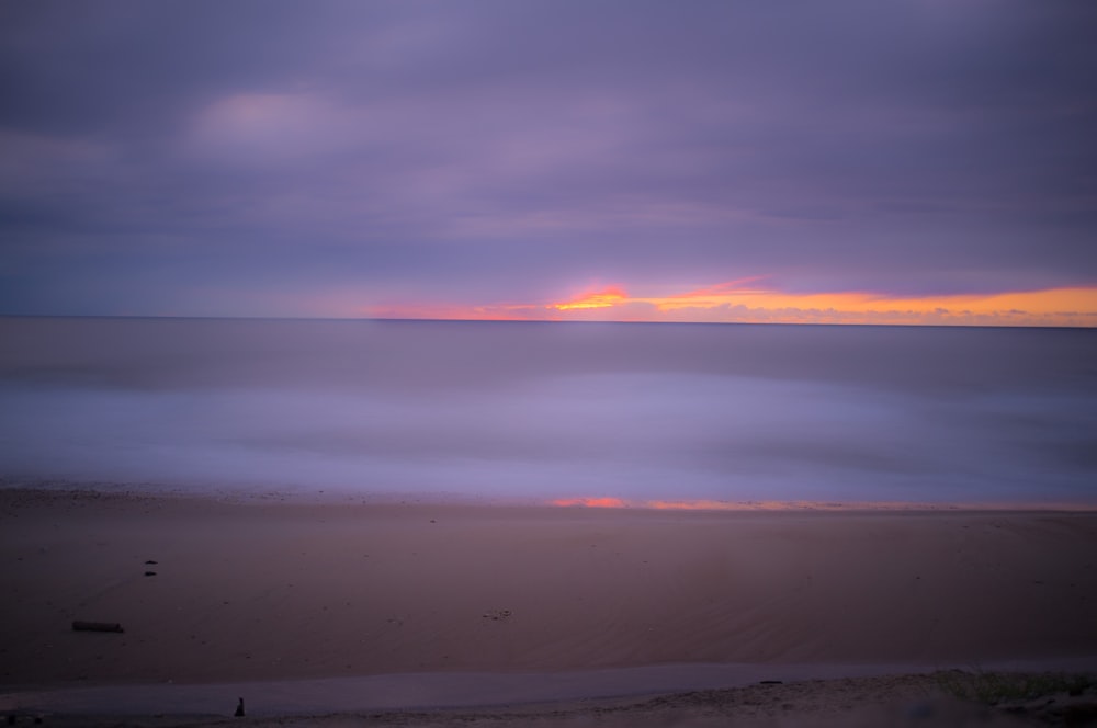 seashore during golden hour